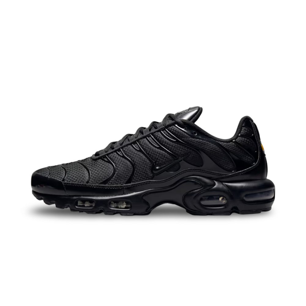 Nike Air Max Plus Triple Black