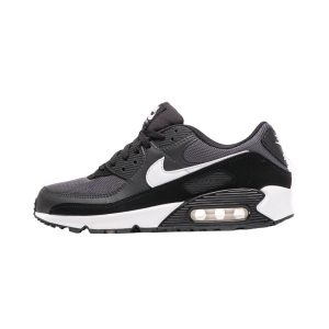 Nike Air Max 90 Iron Grey